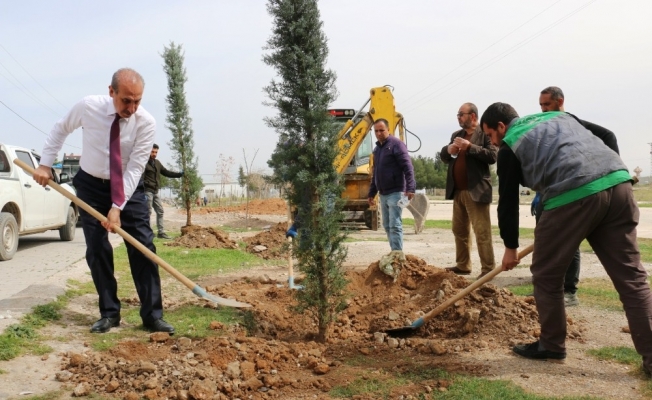 Sınırın sıfır noktasında estetik görünüm