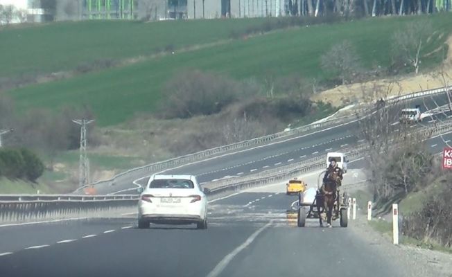 Ters şeride giren at arabası korkuttu