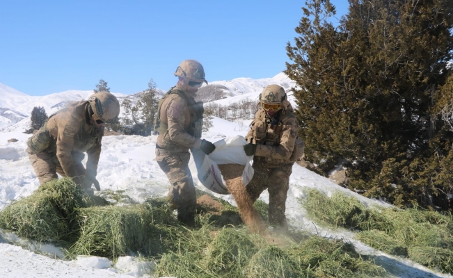 Tunceli’de yaban hayvanlarına helikopterle yem desteği