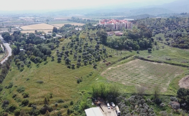 ADÜ Ziraat Fakültesi’nden ‘Aydın Çam Fıstığı’ coğrafi işaretlerine katkı