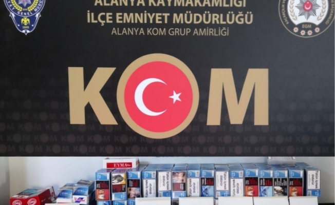 Alanya’da kaçak tütün operasyonu