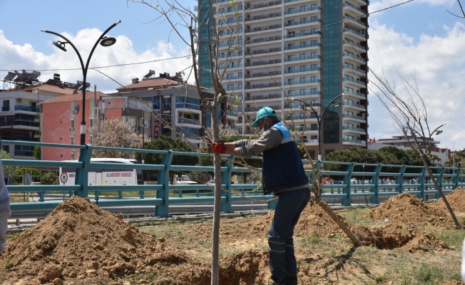 Büyükşehirden Alaşehir’de 6 bin metrekarelik peyzaj