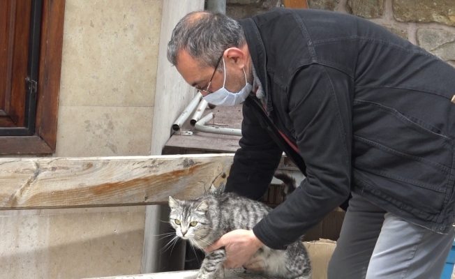 Caminin maskotu oldu şimdi sıcak yuva arıyorlar