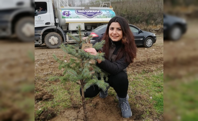 Dolunay mesire alanı, benzersiz bir yapıya sahip olacak