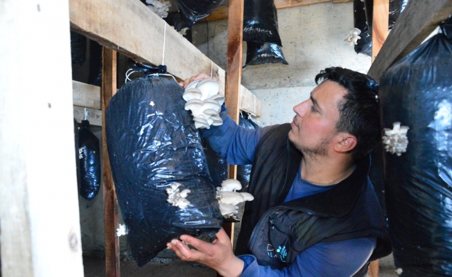 Hobi olarak başladı, şimdi taleplere yetişemiyor