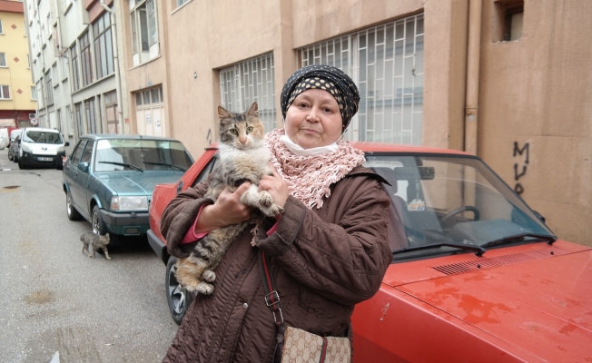 Kaplarda naftalin görünce mahkemeye başvurdu