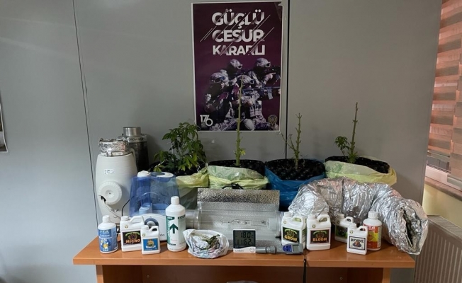 (Özel) Sarıyer’de “saksıda hint keneviri” operasyonu