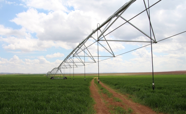 Şanlıurfalı çiftçi ’pivot’ sulamayla yüzde 50 tasarruf sağladı