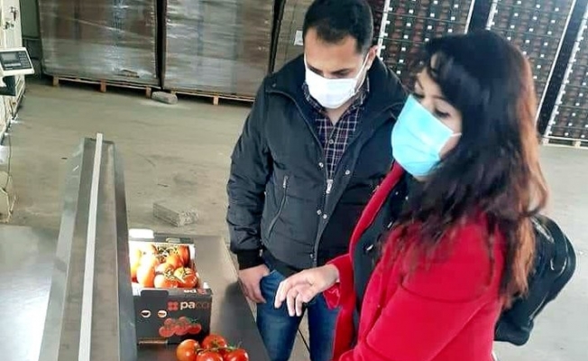 Söke’den 2021 yılının ilk üç ayında 15 bin ton zirai ürünün ihracatı yapıldı