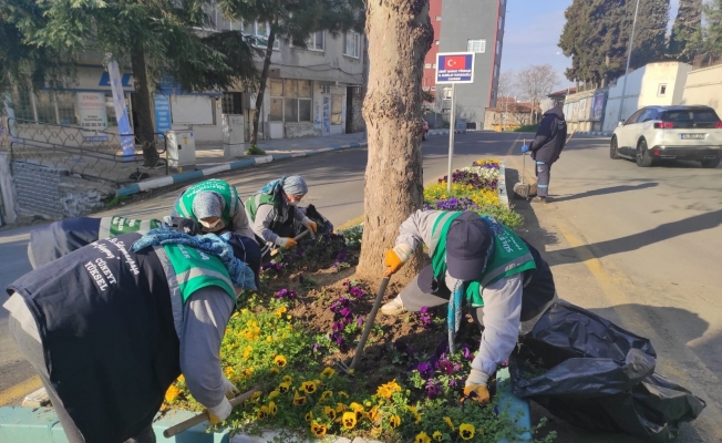 Süleymanpaşa baharı rengârenk karşılıyor