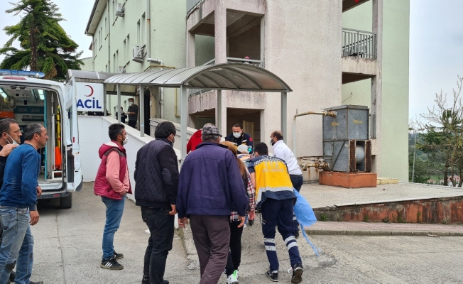 Üzerine tomruk düşen 17 yaşındaki genç hayatını kaybetti