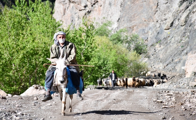 30 gün yol yürüyen göçerler yaylaya ulaştı