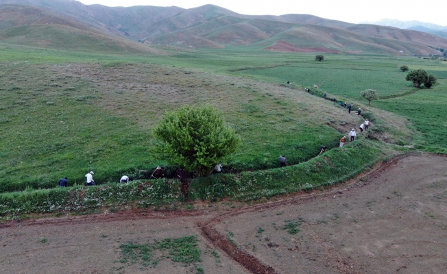 4 kilometrelik sulama kanalını 70 yıldır imece usulüyle temizliyorlar