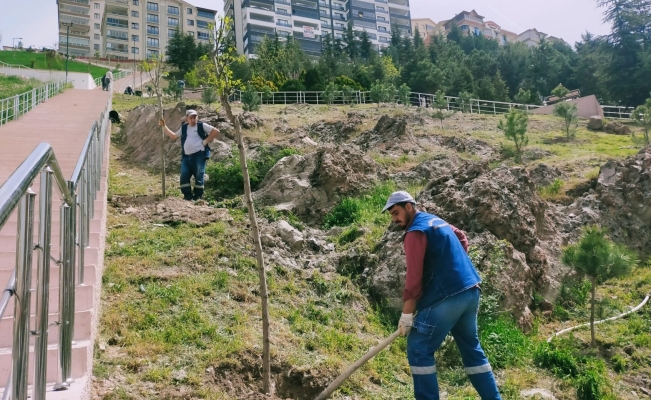 Ağaçlandırma seferberliğinde vatandaş ve belediye işbirliği