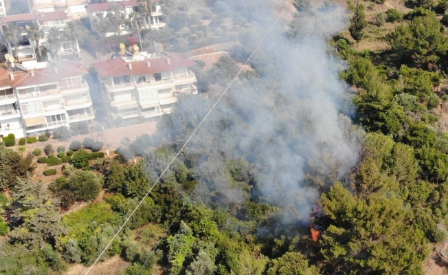 Alanya Kalesi’ndeki orman yangını korkuttu