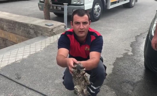 Araca sıkışan kedi itfaiye ekiplerince kurtarıldı