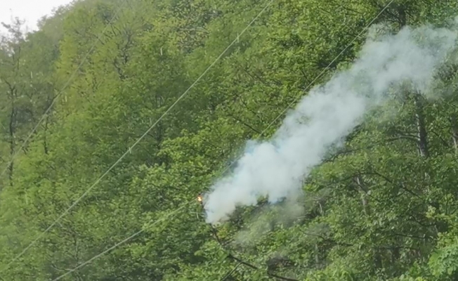 Artvin’de şiddetli rüzgar ağaçları devirdi