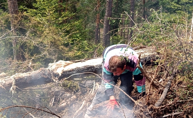 Artvin’deki orman yangınında 4 bin çam ve ladin ağacı yandı