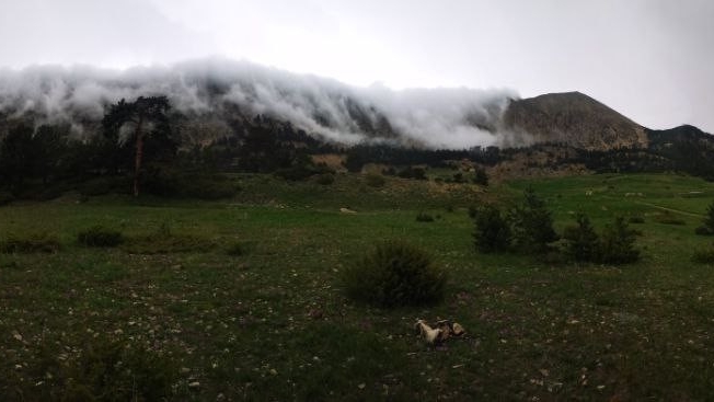 Artvin’in yayalarında oluşan sis bulutları görsel şölen sunuyor