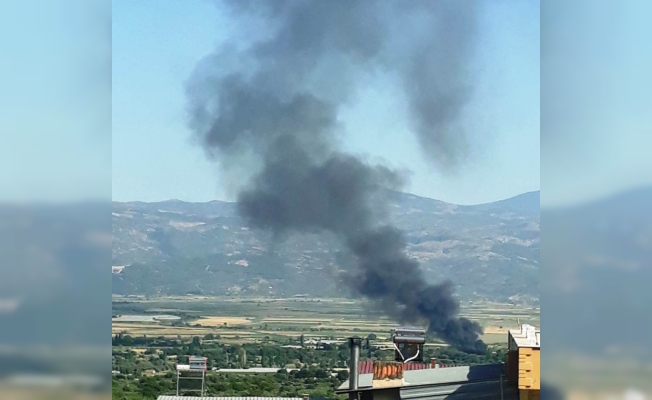 Aydın’daki bir işletmede yangın çıktı