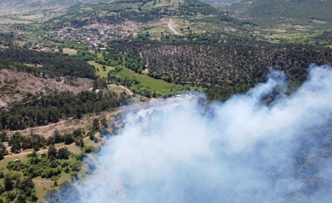 Balya’daki orman yangını kontrol altına alındı