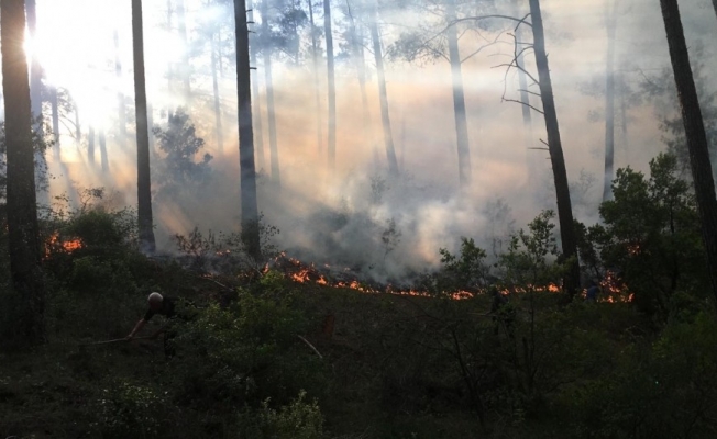 Burdur’da orman yangını vatandaşlar ve ekipler tarafından söndürüldü