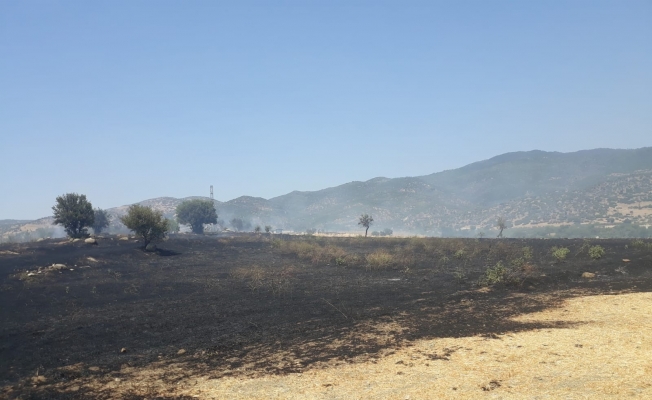 Çine’de onlarca dönüm ekili arazi alevlere teslim oldu