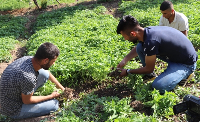 Devlet destek verdi, Türkiye’nin farklı illerinden sipariş yağmaya başladı