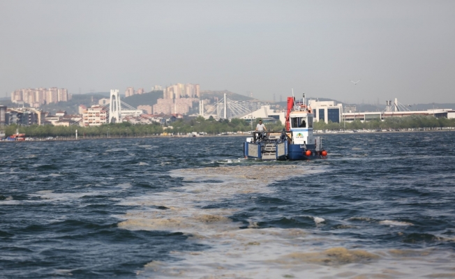 İzmit Körfezi’nde 50 günde 150 ton deniz salyası toplandı