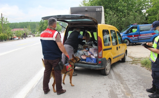 Jandarma asayiş denetimlerinde göz açtırmadı