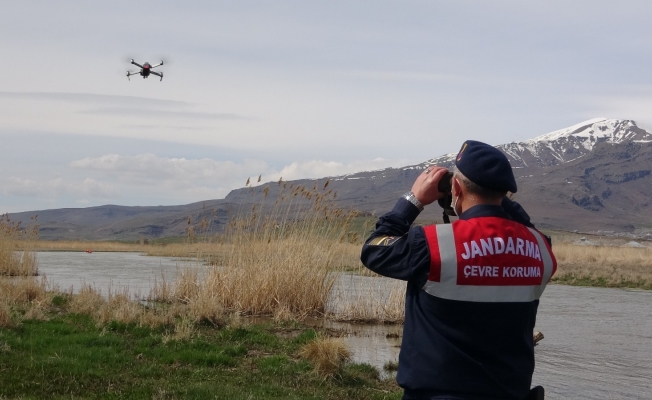 Jandarma Genel Komutanlığı’ndan ‘inci kefali’ paylaşımı