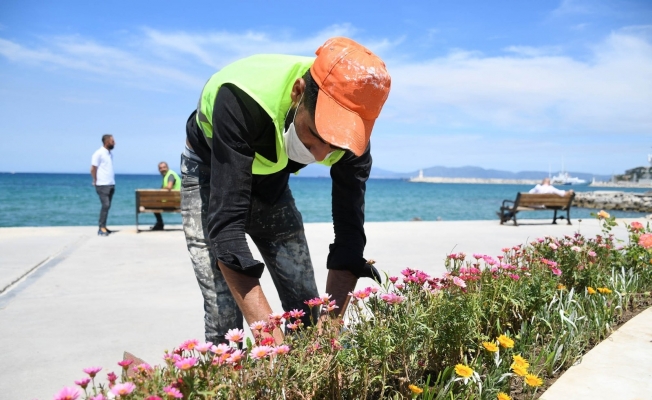 Kuşadası Belediyesi’nden sahil şeridine yaz dokunuşu