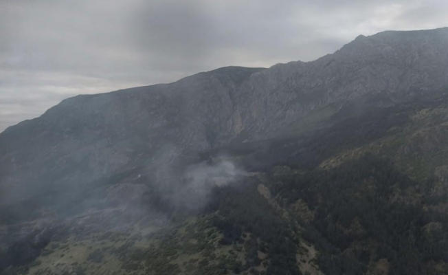 Manisa Spil Dağı Milli Parkında orman yangını