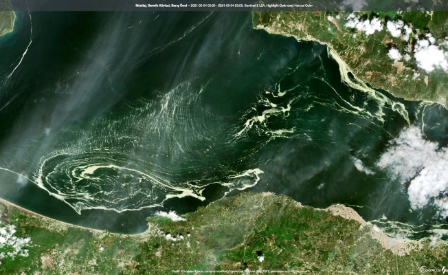 Marmara denizini saran deniz salyaları uydudan bile görüldü