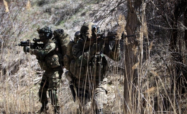 Metina’da 2 PKK’lı terörist daha etkisiz hale getirildi