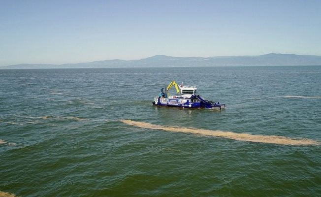 Mudanya’da deniz salyası temizliği başladı