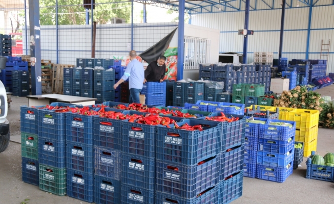 (ÖZEL) Antalya halinde semt pazarı hareketliliği başladı