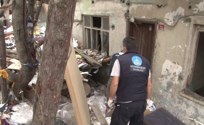 Şişli zabıtasından akıllara durgunluk veren gecekondu yıkımı