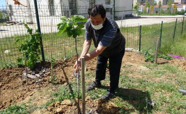 (Özel) Tuzla’da sağlık çalışanlarına jest için sağlık ocağının bahçesini meyve bahçesine çevirdi