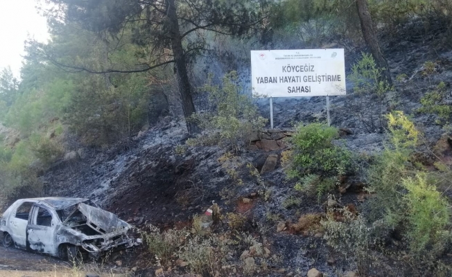 Patlayan araç orman yangınına sebep oldu