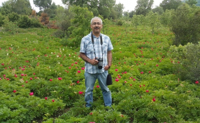 Prof Dr. Fatih Satıl, "Arıcılık için bal ormanlarını artırmalıyız"