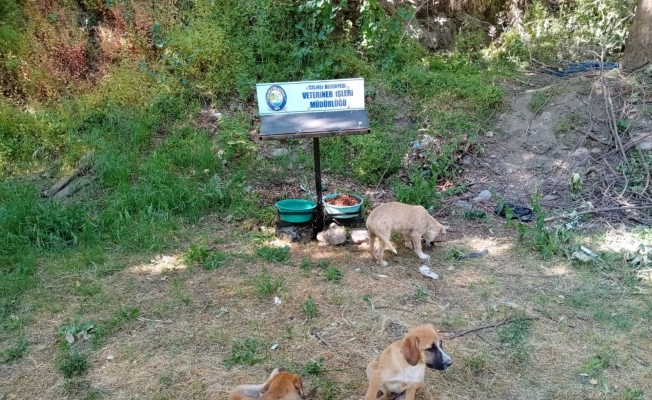 Salihli Belediyesi can dostlarını unutmuyor