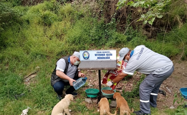 Salihli’de sokak hayvanları unutulmuyor