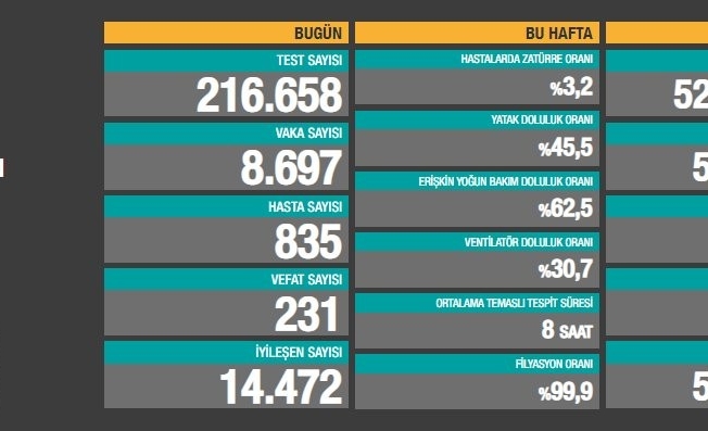 Son 24 saatte korona virüsten 231 kişi hayatını kaybetti