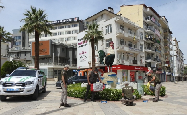 Tam kapanma sürecinde sokak hayvanlarını polis unutmadı