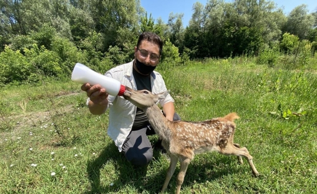 Yaban hayat onlardan soruluyor