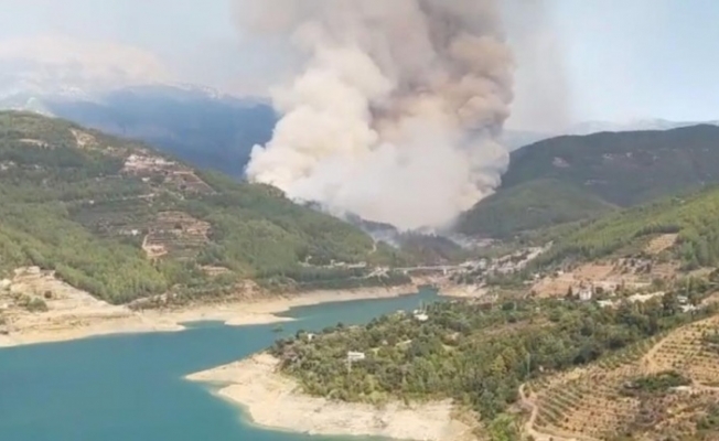 Alanya'daki orman yangını kontrol altına alındı