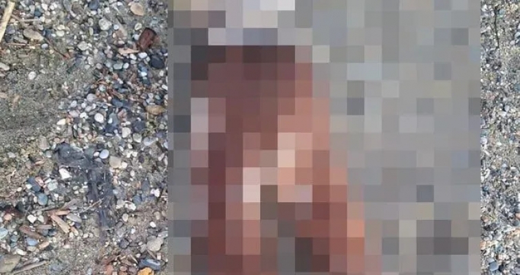 Alanya'da çocuk cesedi bulunmuştu... Antalya Valiliği'nden flaş açıklama