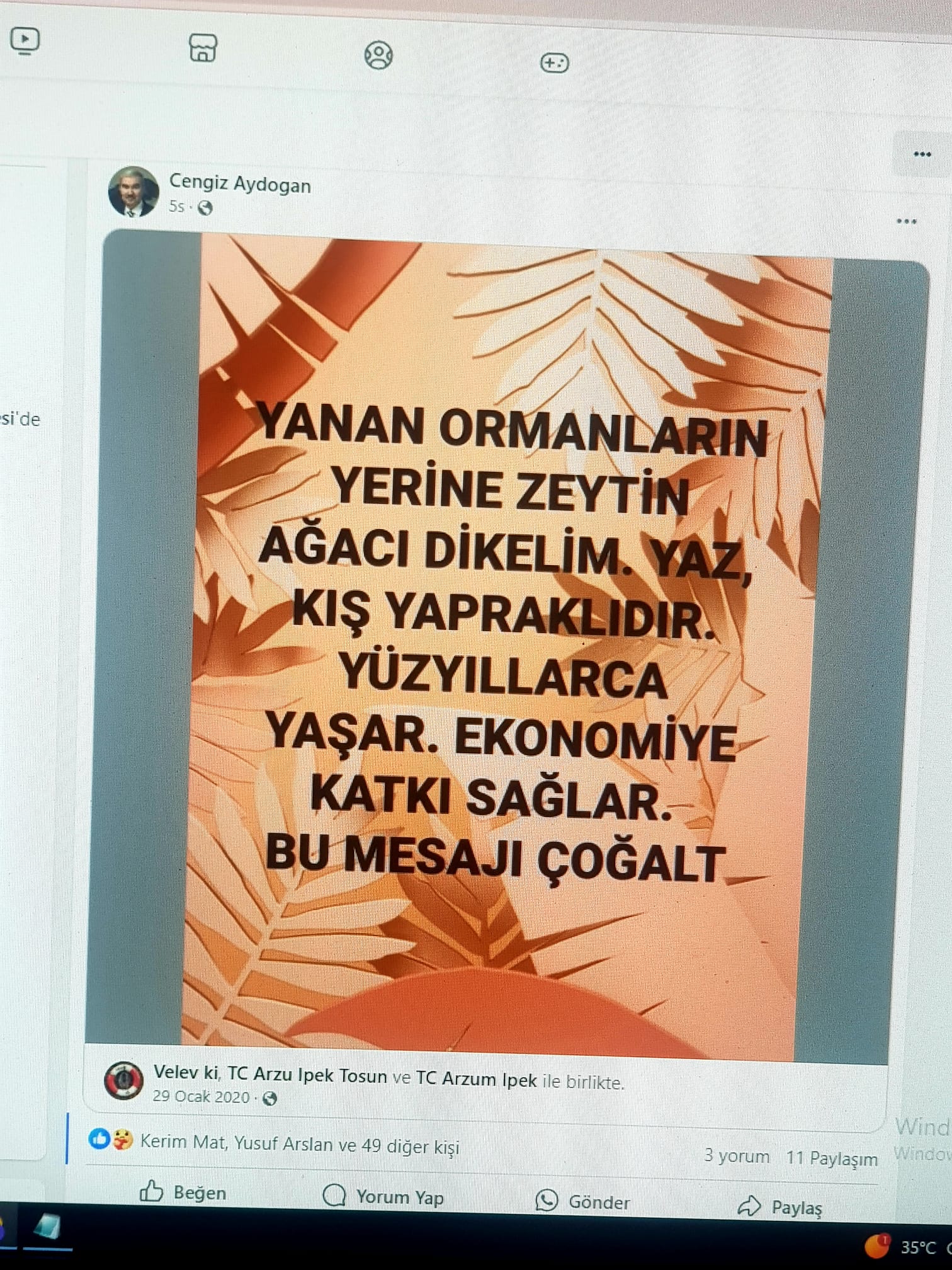 Cengiz Aydoğan'dan Öneri : Yanan ormanların yerine zeytin ağacı dikelim