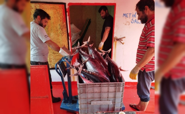 Alanya'da balıkçılar denetlendi